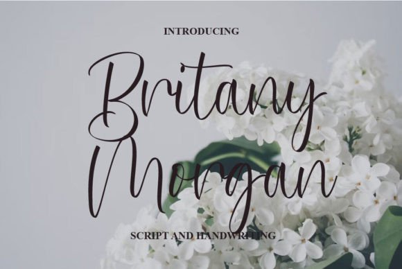 Britany Morgan: Where Script Elegance Meets Modern Branding