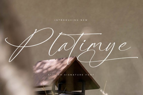 Platimye: The Elegant Script Font for Modern Luxury